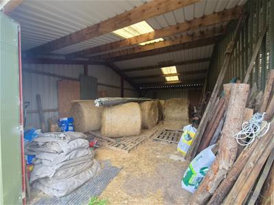 Picture 21